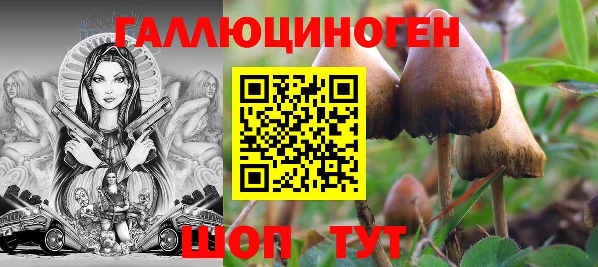 Вышний Волочёк  Псилоцибиновые грибы Psilocybine cubensis  Галлюциногенные грибы ЛСД  Вход с VPN 