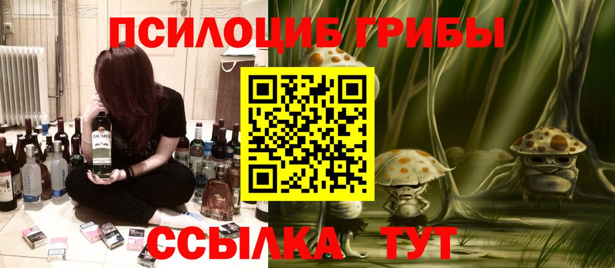 Псилоцибиновые грибы Cubensis  Вышний Волочёк 