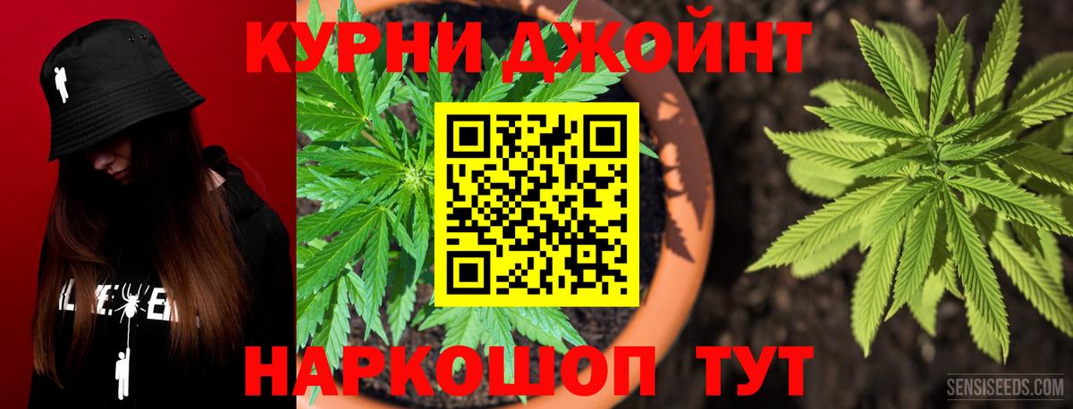 Конопля White Widow  Вышний Волочёк  Конопля MAZAR 